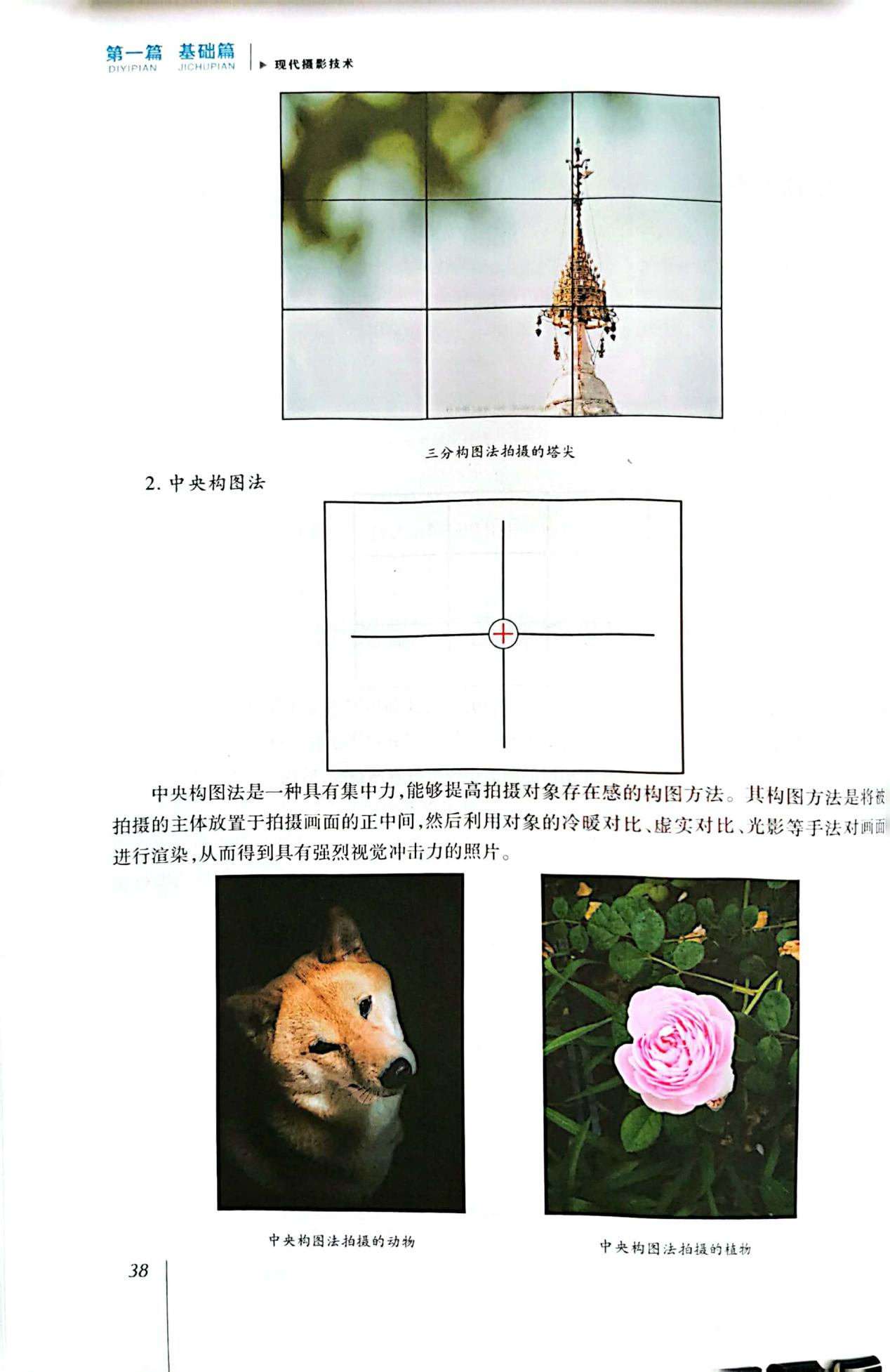 图片92.png